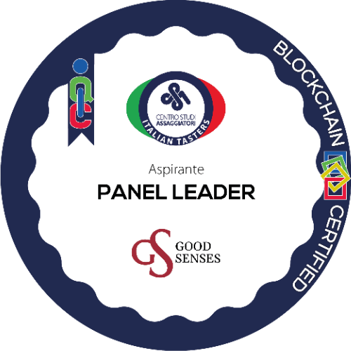 Aspirante Panel Leader